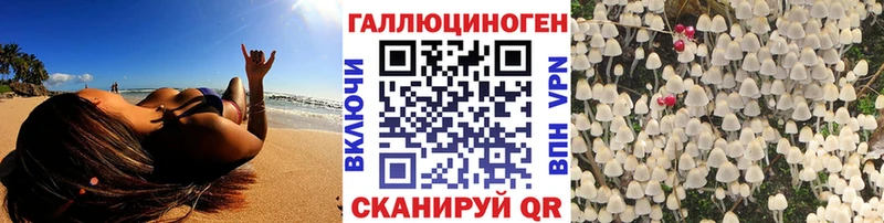 мега вход  Нерчинск  Галлюциногенные грибы GOLDEN TEACHER  цены  